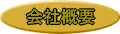 ЊTv